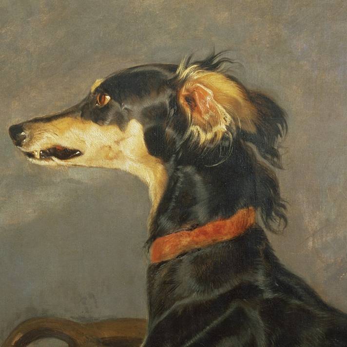 Landseer 'A Saluki Dog'
