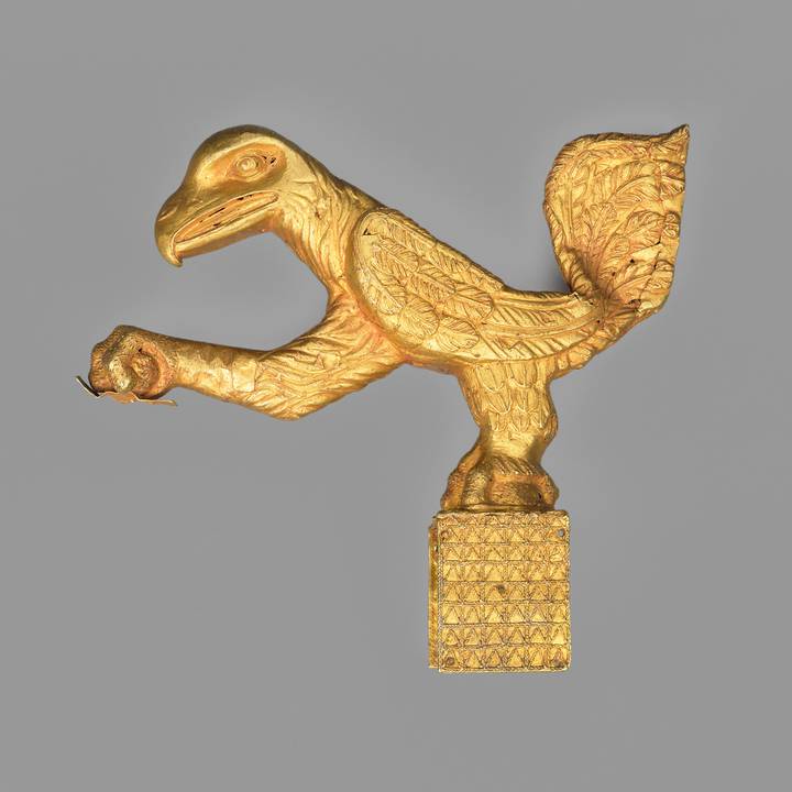 A gold trophy head