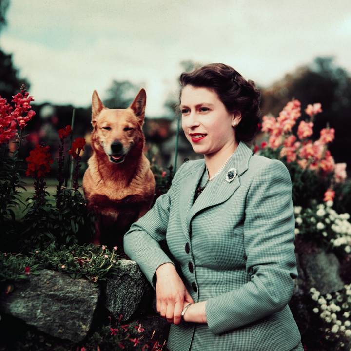 Queen Elizabeth II at Balmoral Castle with one of her Corgis, 28 September 1952 (1)