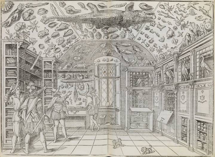 Woodcut of the Wunderkammer room, from 'Dell'historia naturale' by Ferrante Imperato (Naples, 1599). Wellcome Collection