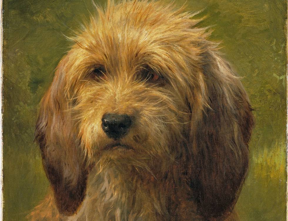 Portraits of Dogs: From Gainsborough to Hockney
