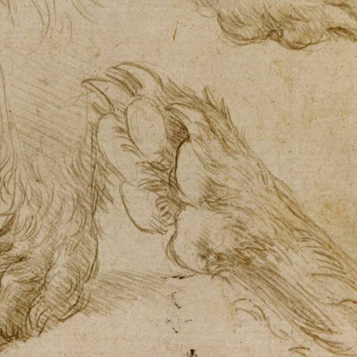 Weekend Masterclass: Drawn to Dogs
