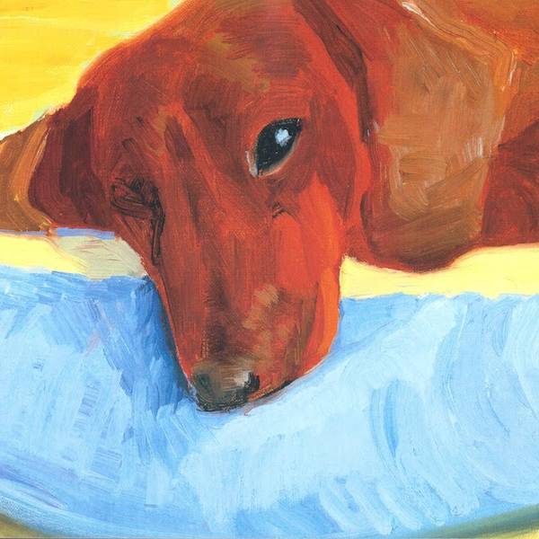 Supporters' Talk - Xavier Bray on Portraits of Dogs: From Gainsborough to Hockney