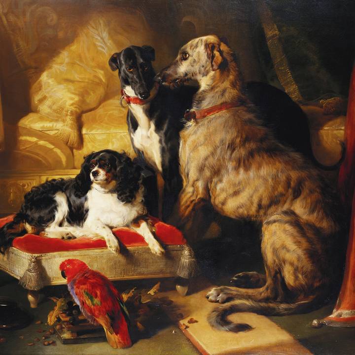Farewell to Portraits of Dogs