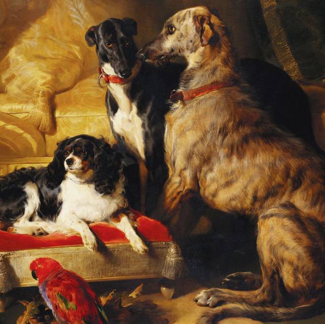 Royal Dogs