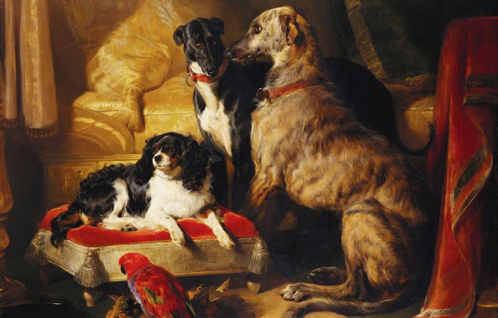 Royal Dogs