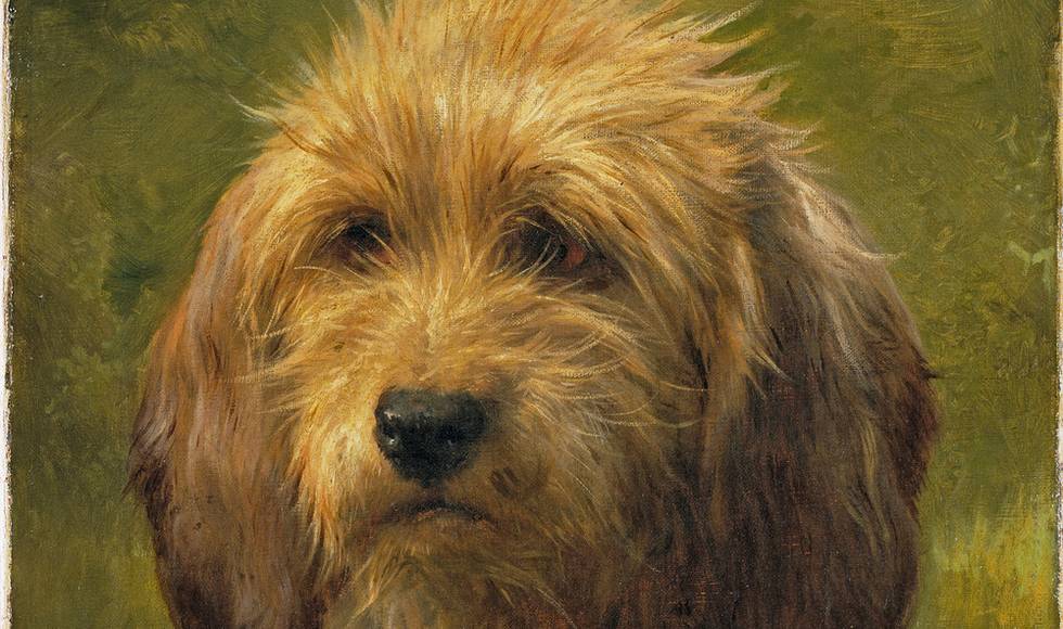 Members' Preview - Portraits of Dogs: From Gainsborough to Hockney