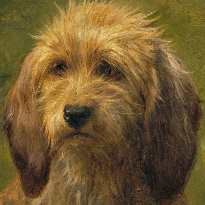 Audio Described Introduction to Portraits of Dogs