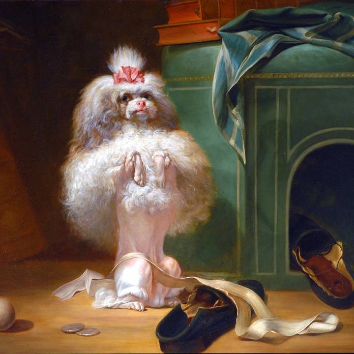 Best in Show: The Dog in Art from the Renaissance to Today 