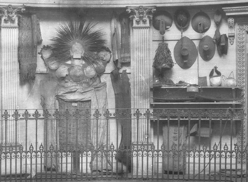 Seminar in the History of Collecting