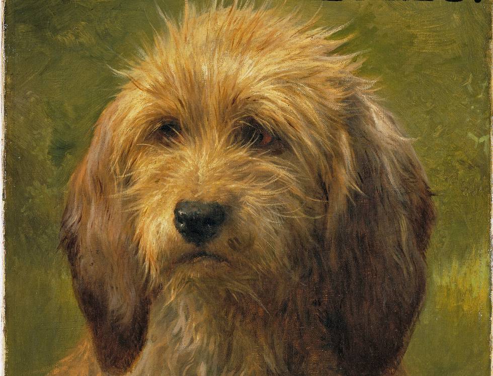 Brief Encounter: Two Portraits of Dogs