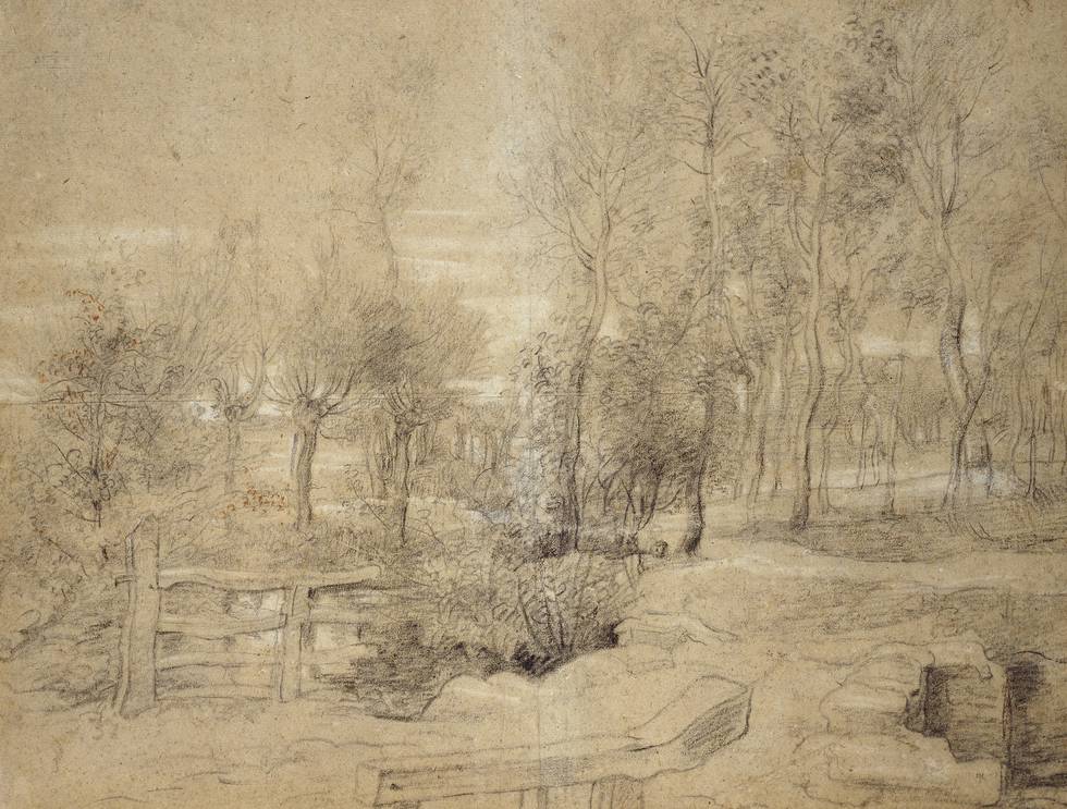 Rubens Talk Series - Rubens and his Landscape Drawings: Sketching en Plein Air