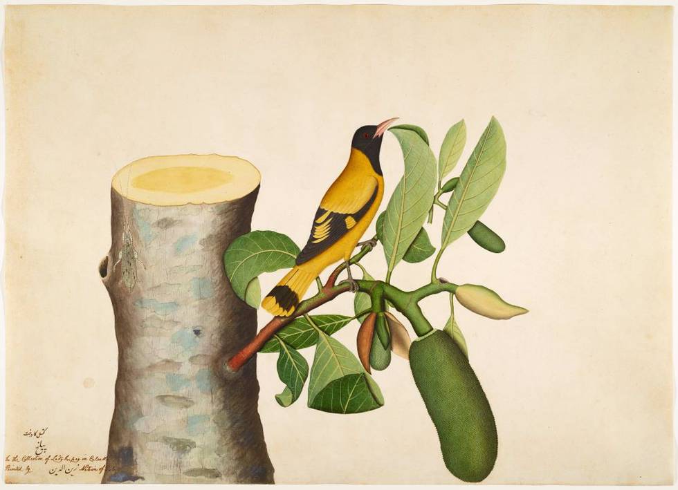 Indian Miniature Painting